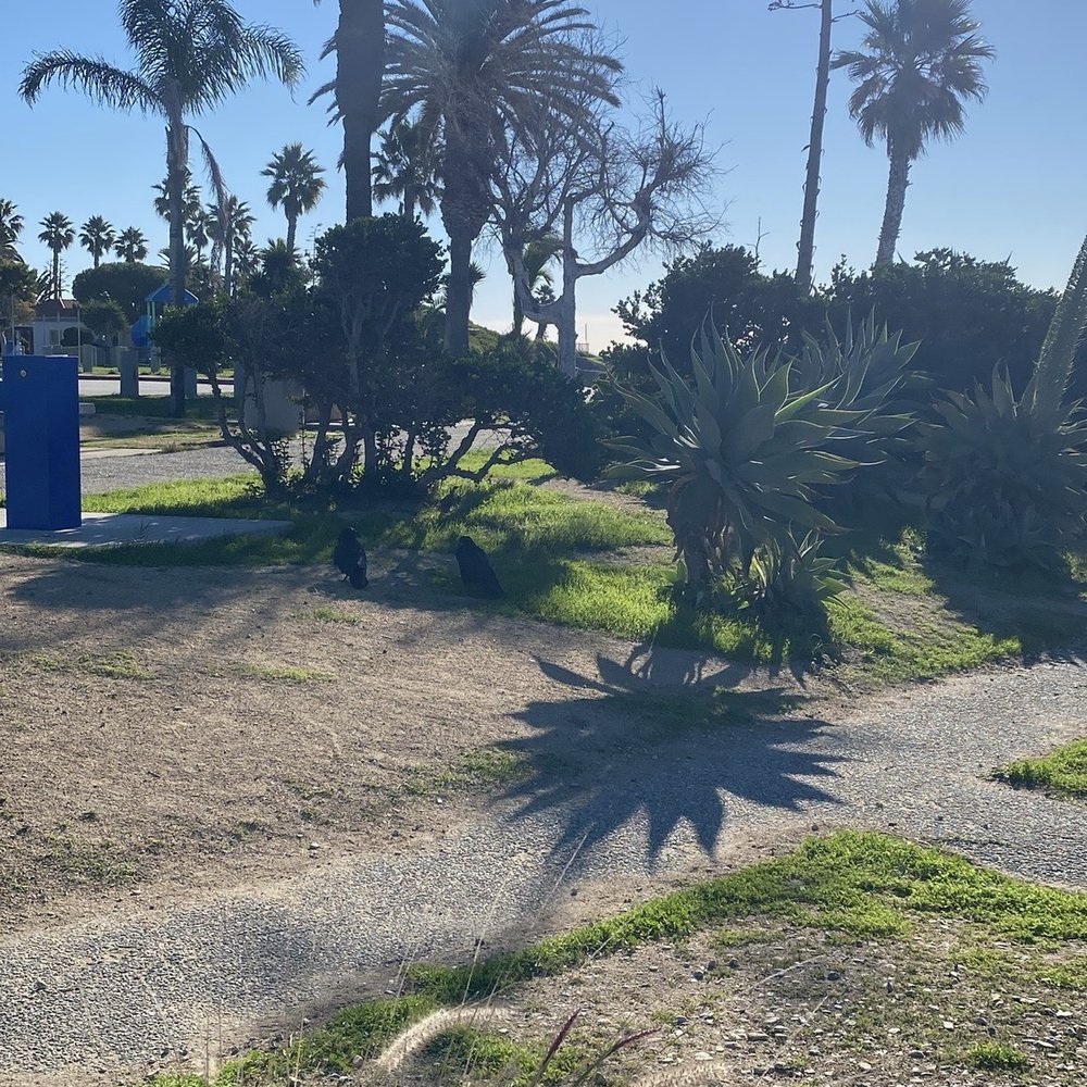 White Point Nature Preserve - Parks Near Me - San Pedro, California