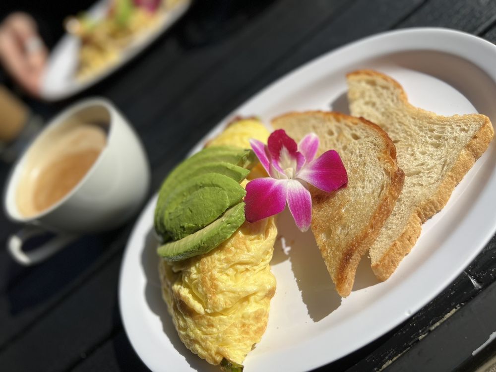 BIRD’S NEST CAFE Updated September 2024 1316 Photos & 1056 Reviews