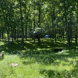 Lake Sara Campground - Tent sites.