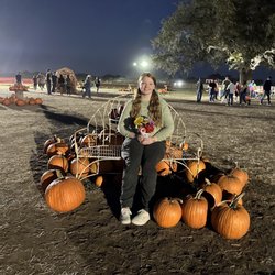 Graff 7A ranch - Pumpkin Patch