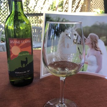 Divine Llama Vineyard - Wineries Near Me - East Bend, North Carolina
