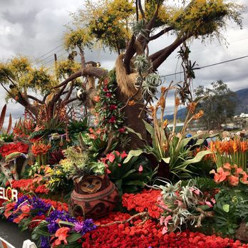 Float Fest - Once of my favorite floats. - Festivals Near Me - Pasadena, California Float Fest - Once of my favorite floats. - Festivals Near Me - Pasadena, California