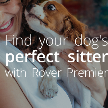 Sleepover Rover - Pet Sitting Near Me Sleepover Rover - Pet Sitting Near Me