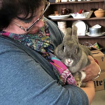 Dupont Veterinary Clinic - Lady, shopping with us at Young's Greenhouse. - Veterinarians Near Me - Fort Wayne, Indiana Dupont Veterinary Clinic - Lady, shopping with us at Young's Greenhouse. - Veterinarians Near Me - Fort Wayne, Indiana