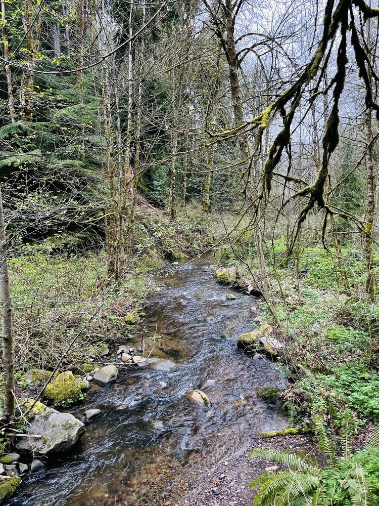 COAL CREEK NATURAL AREA Updated October 2024 35 Photos & 17 Reviews