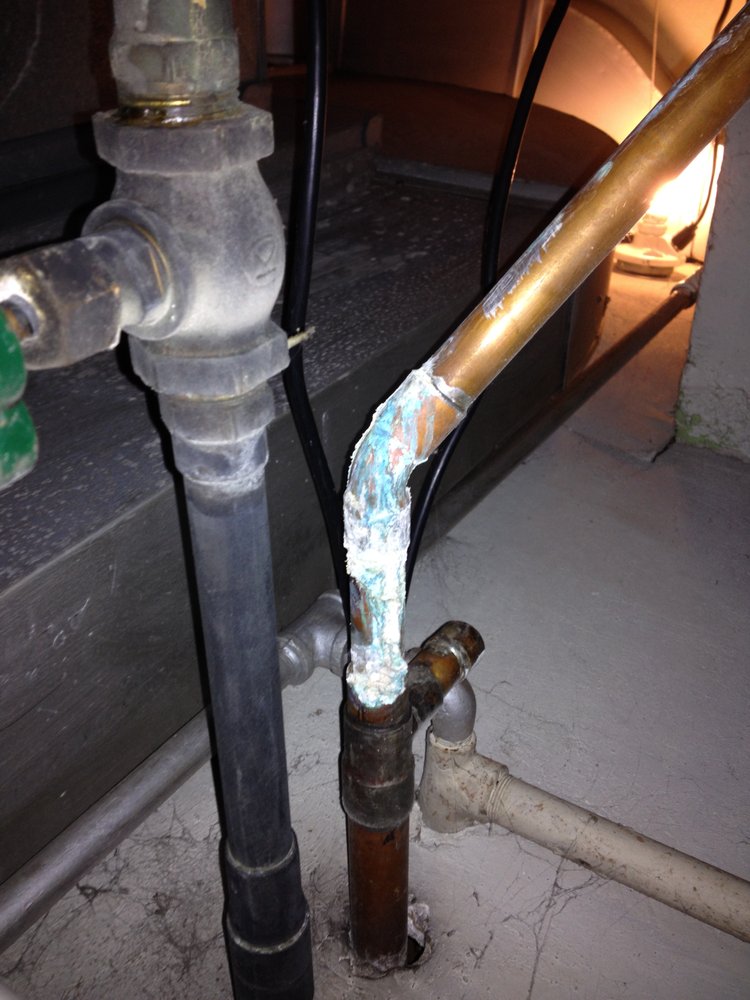 Slide of G&P Root Raiders