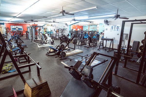 The Body Factory Health & Fitness Center by null