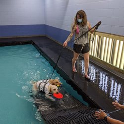 Dog Paddle - Awesome swimming facility!