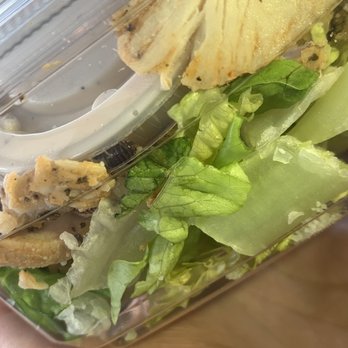 Panera Bread - A COCKROACH in Panera Chicken Cesar Salad - Sandwiches Near Me - Bronx, New York
