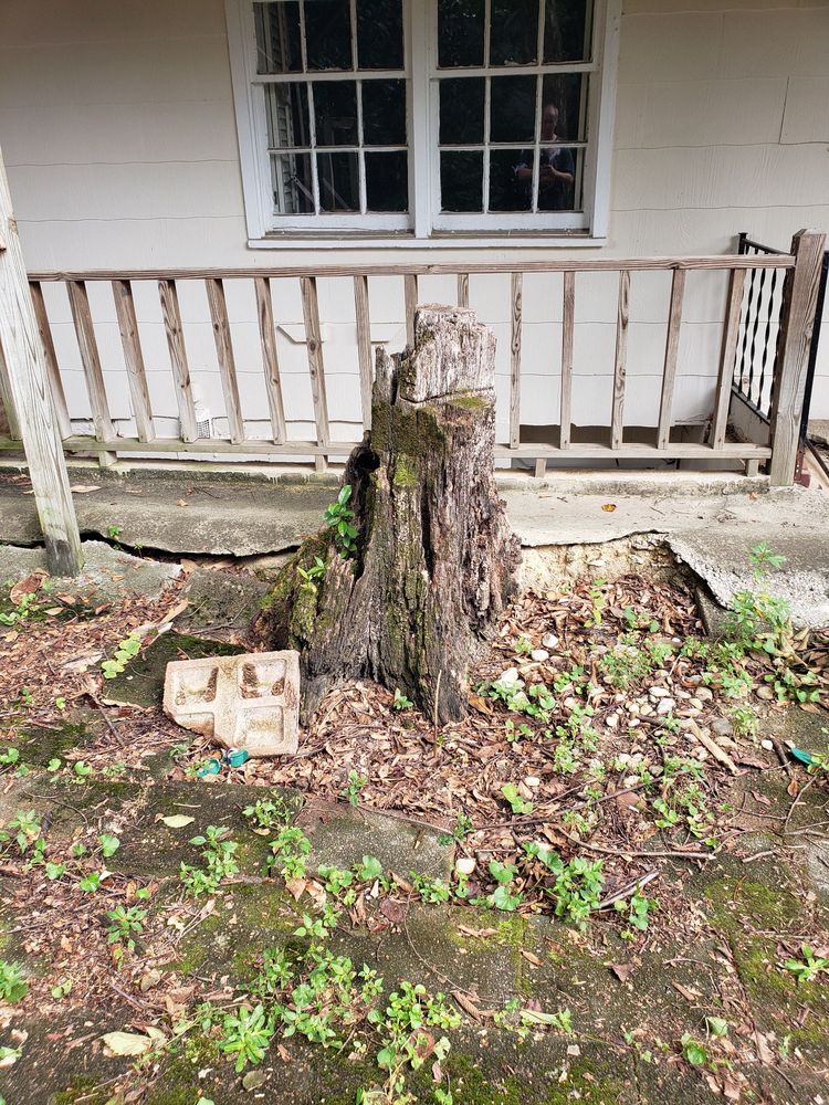Simply Stumps Atlanta - tree service in Smyrna, GA