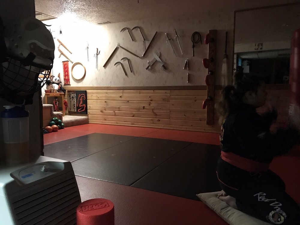 RedDragon Martial Arts Academy Logo