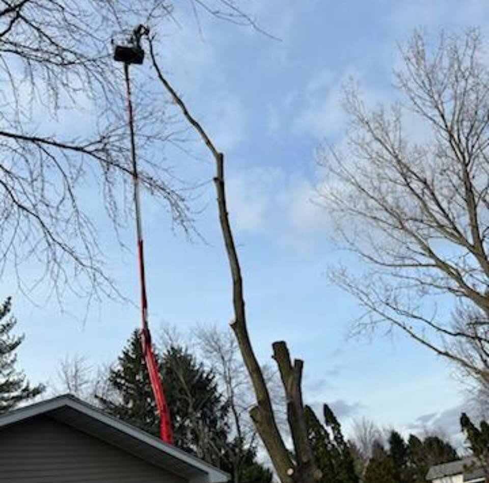 AAA TREE SERVICE - Updated July 2026 - 21 Photos - Hennepin, Illinois ...