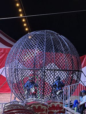 EchoPark Speedway by null