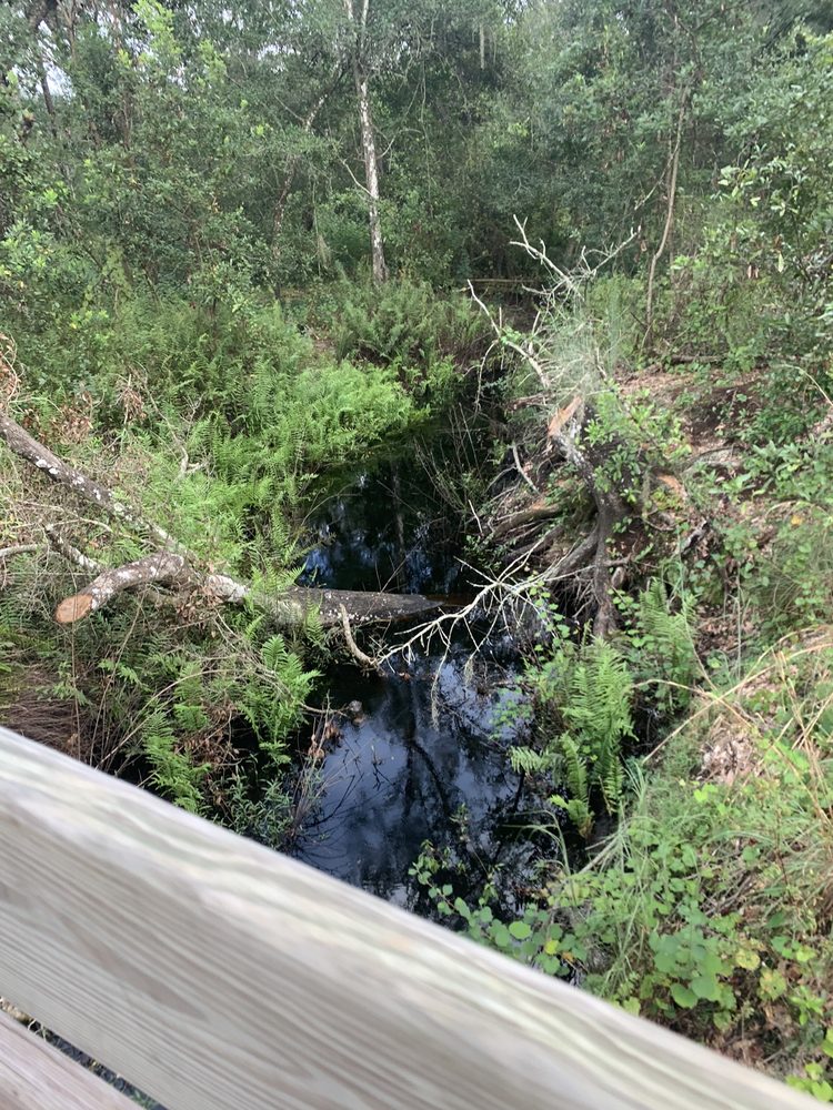 Rocky Creek Trails Nature Preserve Image