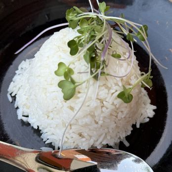 BODHI - Rice - Thai Near Me - Indianapolis, Indiana