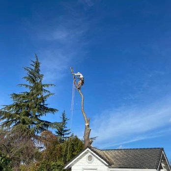 POMEROY TREE CARE - Tree Services Near Me POMEROY TREE CARE - Tree Services Near Me