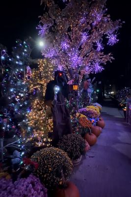 Washington Square Park by null