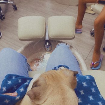Nails On Nails & Spa - I don't know if they allow larger dogs but my pup is about 15 pounds - Nail Salons Near Me - Whittier, California Nails On Nails & Spa - I don't know if they allow larger dogs but my pup is about 15 pounds - Nail Salons Near Me - Whittier, California