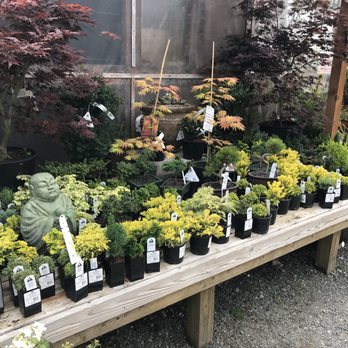 Sunnyside Nursery - Nurseries & Gardening Near Me - Marysville, Washington Sunnyside Nursery - Nurseries & Gardening Near Me - Marysville, Washington