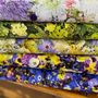 Photo of Colchester Mill Fabrics & Quilting