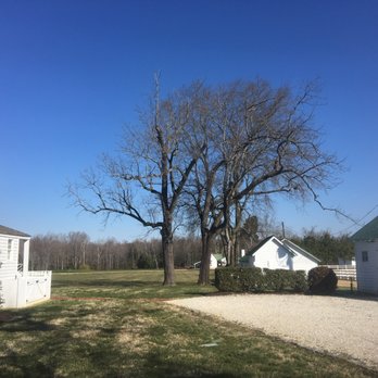 Brad The Tree Man - Plantation outhouses - Tree Services Near Me - New Kent, Virginia Brad The Tree Man - Plantation outhouses - Tree Services Near Me - New Kent, Virginia