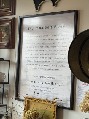 Cafe Immortelle by null