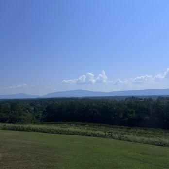 Morris Vineyard - Mountain View's - Wineries Near Me - Charleston, Tennessee Morris Vineyard - Mountain View's - Wineries Near Me - Charleston, Tennessee
