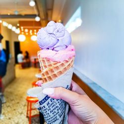 jeni s splendid ice