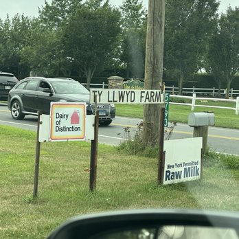 Ty Llwyd Farm - Farmers Market Near Me - Riverhead, New York