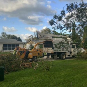 Florida Heights Tree Services - Thankful to have found this awesome company! - Tree Services Near Me Florida Heights Tree Services - Thankful to have found this awesome company! - Tree Services Near Me