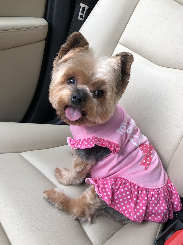 DIRTY DOG Updated July 2024 27 Photos & 82 Reviews 3016 Guadalupe