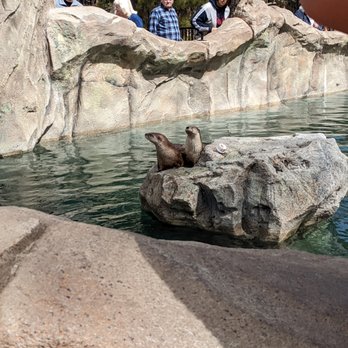Bearizona - Zoos Near Me - Williams, Arizona Bearizona - Zoos Near Me - Williams, Arizona