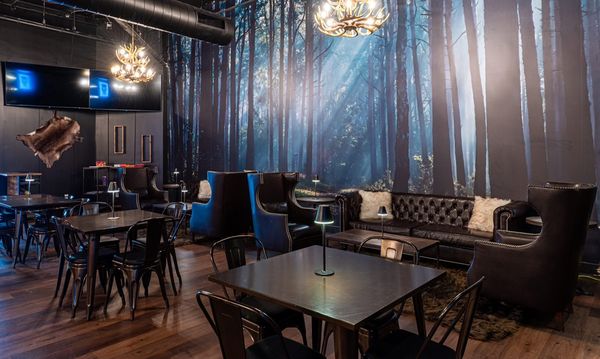 Skol Brewing Company by null