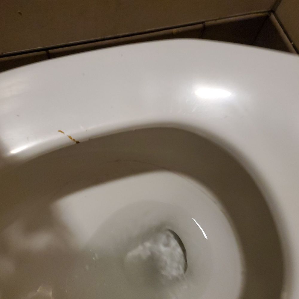 Jack in the Box - Shit on toilet seat - Fast Food Near Me - Phoenix, Arizona Jack in the Box - Shit on toilet seat - Fast Food Near Me - Phoenix, Arizona