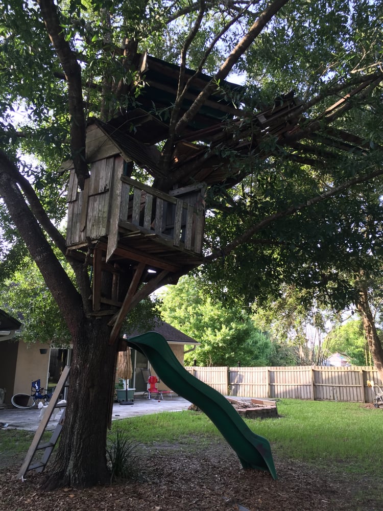WORD OF MOUTH TREE SERVICE - Updated July 2026 - 19 Reviews - 441 Baker ...