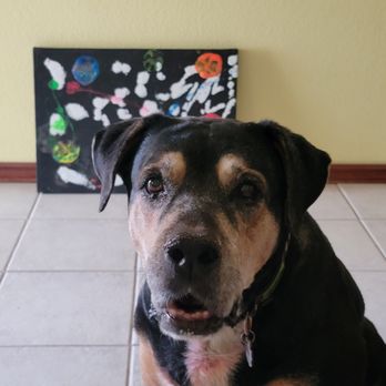 Forever Loved Veterinary Services - She was an artist - Veterinarians Near Me Forever Loved Veterinary Services - She was an artist - Veterinarians Near Me
