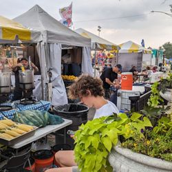 Taste of Roselle - Behind food vendors