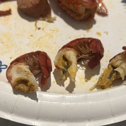 Crawfish