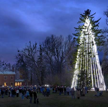 Dave Leonard Tree Specialists - tree service in Lexington, KY