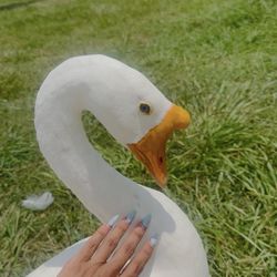 Magic Nails - The nails I went in with