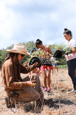 Kahuku Farms by null
