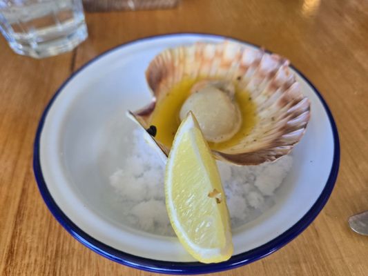 Fishos Torquay by null