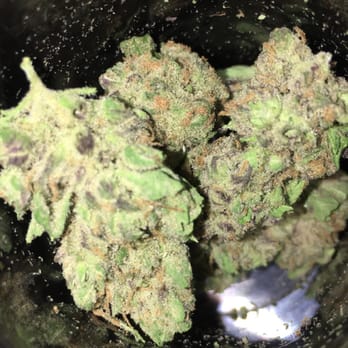 CannaCo - Cannabis Clinics Near Me - Trinidad, Colorado