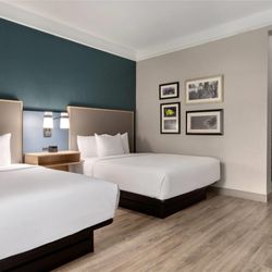 La Quinta by Wyndham Dallas Arlington South - Guest room
