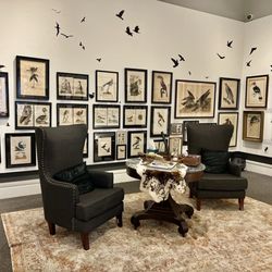 Carnegie Center For Art & History - Printed Bird exhibit