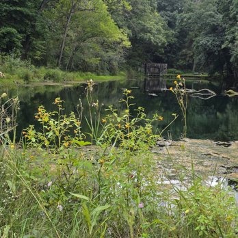Paradise Springs Nature Center - Pond - Hiking Near Me - Eagle, Wisconsin Paradise Springs Nature Center - Pond - Hiking Near Me - Eagle, Wisconsin
