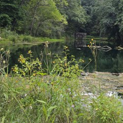 Paradise Springs Nature Center - Pond