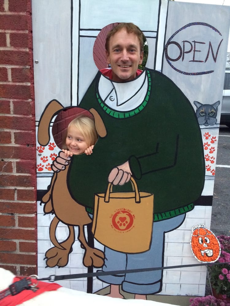 THE STRAWBERRY DOG Updated September 2024 2 Howard St, Cumberland