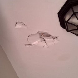 Davidson's Furniture - The ceiling