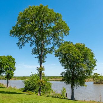 Lost River RV Parks - View - Fishing Near Me - Baytown, Texas Lost River RV Parks - View - Fishing Near Me - Baytown, Texas